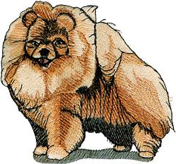 Pomeranian embroidery design