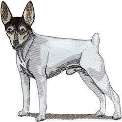 Toy Fox Terrier embroidery design