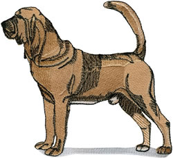 Bloodhound embroidery design