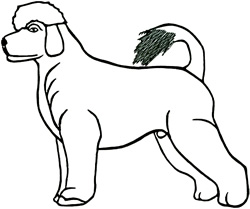 Portugese Water Dog embroidery design