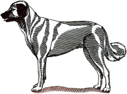 Anatolian Shepherd Dog embroidery design
